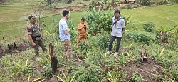 Agromas dan petugas desa Banyu Wangi