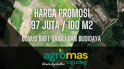 Harga Promosi kebun Agromas